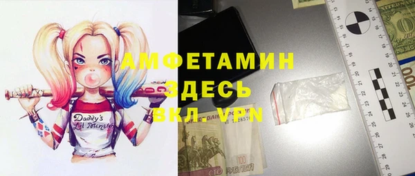 шишки Беломорск