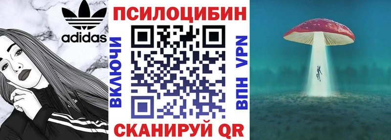 где купить наркотик  OMG как зайти  Галлюциногенные грибы Psilocybine cubensis  Бийск 